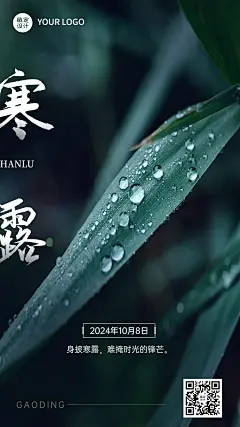 寒露节气祝福实景排版手机海报