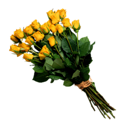 花束PNG