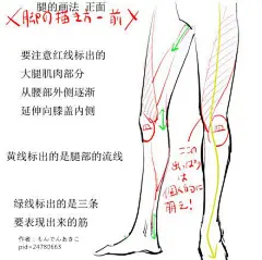 手绘动漫速写人物【腿部脚部肌肉】画法要点
#绘画素材# #手绘教程# #绘画教程# #手绘# #遇见艺术# #绘画# #简笔画# ​​​​