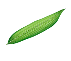辣里找甜采集到端午节
