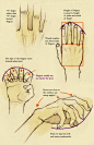 Today's Drawing Class 101: Drawing Hands | Hand drawing: 