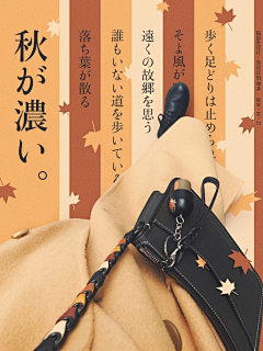 花开富贵的掌上明猪采集到Z - 杂志海报