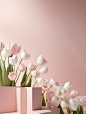 BettyParker_This_is_a_simple_display_background_clean_pink_back_60096a95-f9b6-4e2d-ae7b-239021e7086b