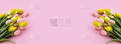 五颜六色的郁金香花束和粉红色背景上孤立的礼盒。春天的花。生日贺卡，女人，母亲节，情人节。平的。副本的