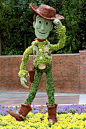 Woody: 