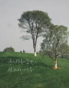 壁纸/背景图