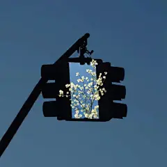 壁纸萌娘的微博_微博