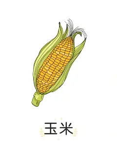 一文带小朋友认识五谷杂粮_4_乔智大叔_来自小红书网页版