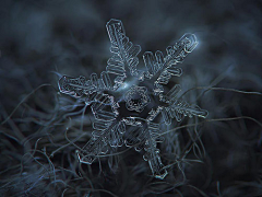 其实你不是采集到雪花