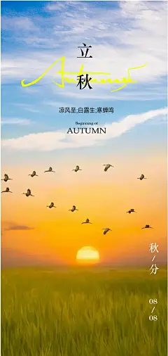 24节气立秋海报设计-_-简约清新_4_小怪兽设计_来自小红书网页版