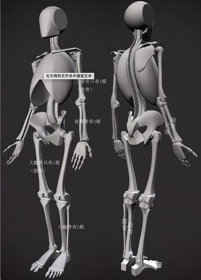 人体骨骼 模型简化