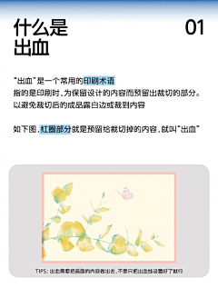 安图依雅采集到设计知识
