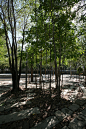 对抗中的赏心 – 恬园，新疆 / R-land北京源树景观规划设计事务所 - 谷德设计网