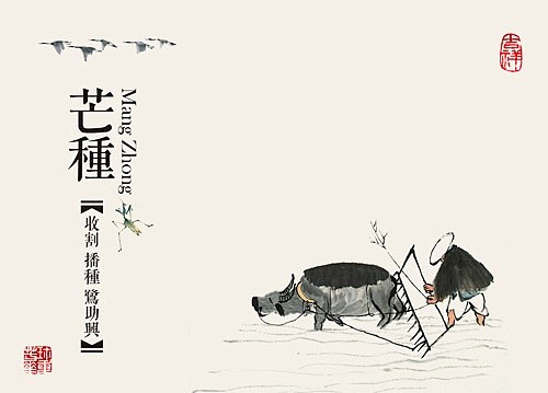 点击查看下一张