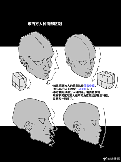 fwagjbfd采集到鸡牡蛎
