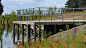 Buckler’s Forest, Crowthorne by Macgregor Smith : A unique recycled landscape where people, nature and history are brought together in symbiotic design. Once the centre for ground-breaking research into road safety, we worked across 250 acres to transform