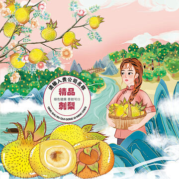 手绘刺梨包装插画