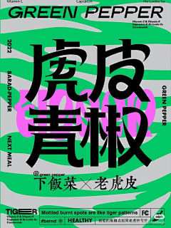 RAYCAT丶YU采集到Design-概念-版式设计