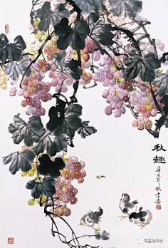 写意。葡萄-花瓣网|陪你做生活的设计师 | 国画家张建秋写意葡萄作品