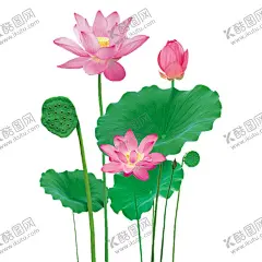 荷花素材 【酷图网】荷花素材,手绘荷花,荷叶,手绘荷叶,国潮荷花,古典荷花,古风荷花,中国风荷花,手绘古风荷花,荷花插画,荷叶插画,荷花荷叶插画,中国风,夏日素材,夏天,清廉荷花,荷花背景,荷花海报,立夏,立夏背景,立夏海报,夏至海报,夏至背景,夏天背景,夏天海报,夏天素材,古风夏天背景,立夏素材,夏至素材