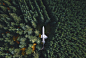 General 2000x1338 nature landscape airplane wreck forest trees drone aerial view