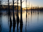 Black Bayou Lake Image, Louisiana -- National Geographic Photo of the Day  : The sun rises over Louisiana’s Black Bayou Lake in this National Geographic Photo of the Day from our Your Shot community. 
