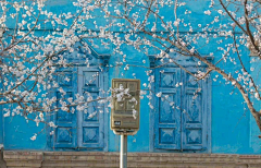 圭圭圭圭采集到场景摄影