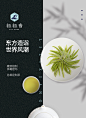 【春茶现货】2020明前特级新茶信阳毛尖嫩芽茶叶春茶绿茶125g*2-tmall.com天猫