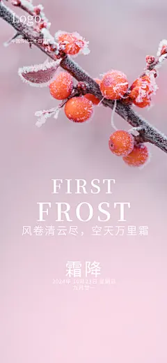 霜降插画简约节气唯美大气节日海报