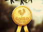Gallo_pr_mio #图标# #icon#