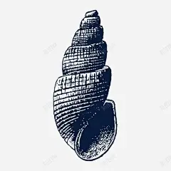 手绘尖尖的海螺素描图标 海鲜 生鲜 田螺 贝壳 贝类 软体动物 UI图标 设计图片 免费下载 页面网页 平面电商 创意素材