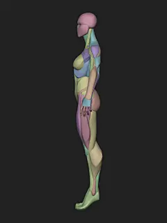 bli : 3d character artist ,3D instructor,MAXON BodyPaint 3D Artist