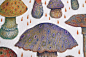 VLADIMIR stankovic on Behance