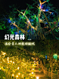 夜游小火车幻光森林|感受狐巴巴一站式体验