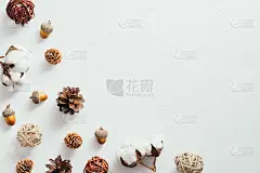 秋天的背景上有松果、棉花、橡子，都是白色的。平躺，俯视图，在头顶。
