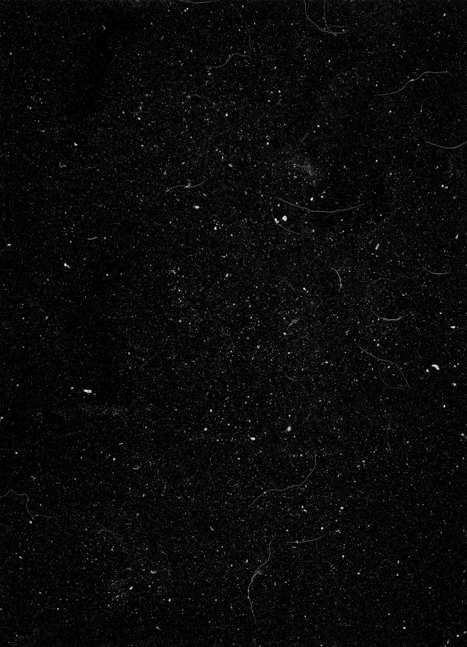 d821dfd35f5ca51c2ce9...
