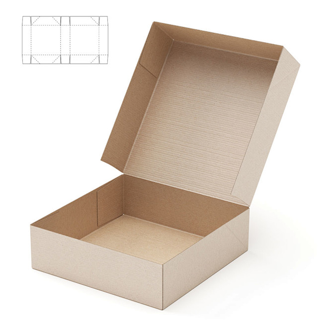 打开的包装盒效果图