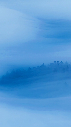 狡辩的海獭采集到风景（背景