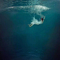 Mallory Morrison 水下摄影艺术 ​​​​