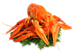 lobster_PNG14245