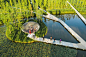 重庆潼南大佛寺湿地公园：旷野大地上散落的露珠 : 巴蜀乡亲的“后现代”公园
