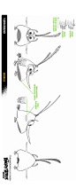 《愤怒的小鸟》概念设计手稿，曝光电影背后的趣味创意