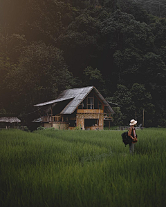 ~丘~采集到Y摄影美景