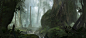 Giant Trees, Jorry Rosman : Fantasy environment exploration