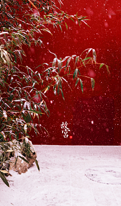 故宫雪03(琴)采集到风景页面采集故宫雪景,美得这么安静!