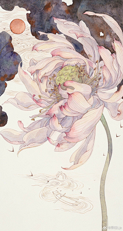 大愚先生的收集采集到插画收集