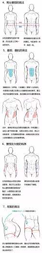 男女对比腹肌肌肉画法线稿2