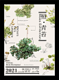 审美提升✔｜植物海报排版 036 - 小红书