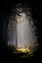 Beautiful Nature