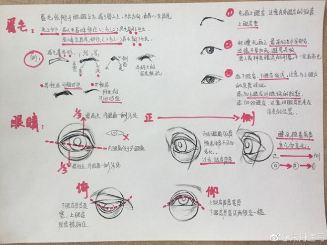头部讲解   （作者： 朱丹速写 ​） ...